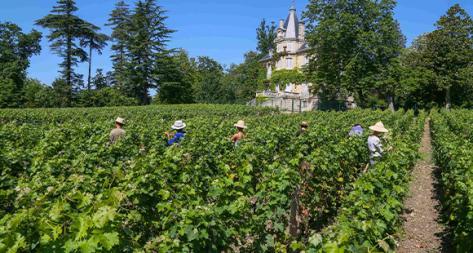 Photo principale du domaine