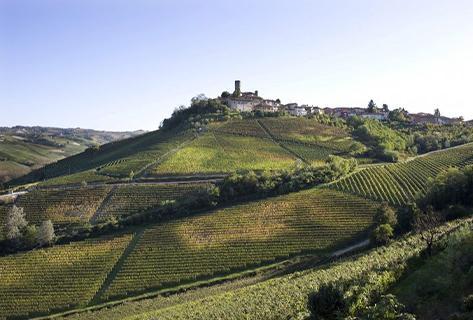 Vietti - 4