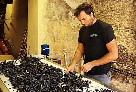 Mayard (Domaine) - 2