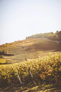 Photo principale du domaine
