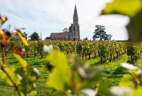 Château Le Pin - 2