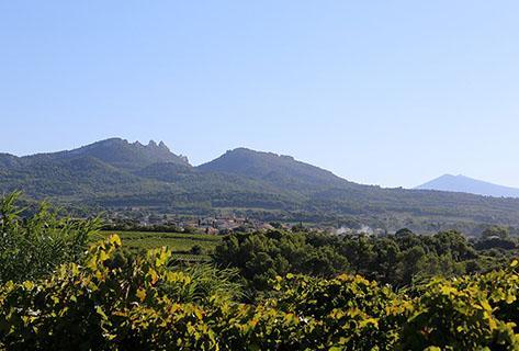 Roucas Toumba - 4