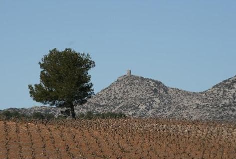 Foto des Partnerweinguts Gardiés