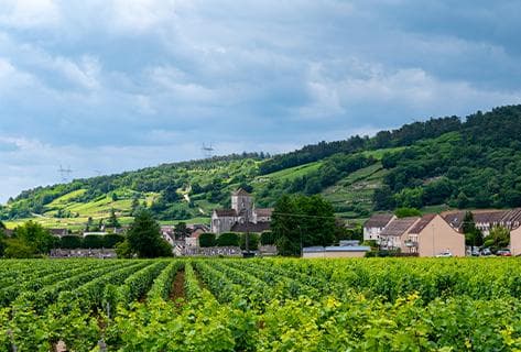 Domaine Georges Mugneret-Gibourg - 4
