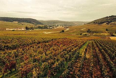 AMI (Willy Roulendes et Paul Perarnau) - 4