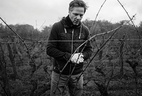 Foto des Partnerweinguts Château Yvonne