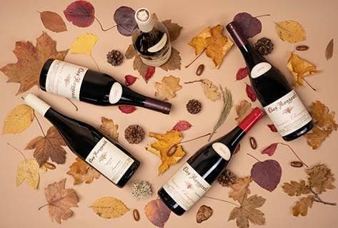 Clos Rougeard - 1