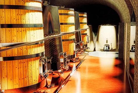 Mayard (Domaine) - 4