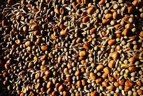 Mayard (Domaine) - 3