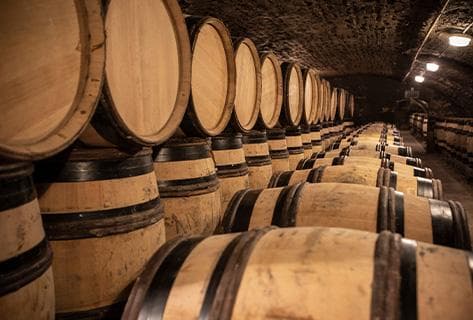 Domaine des Marnes Blanches - 3