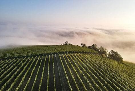 Fratelli Alessandria - 4