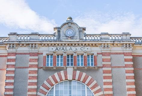 Foto des Partnerweinguts Ayala