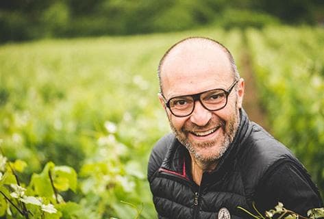 Foto della tenuta - Dehours & Fils