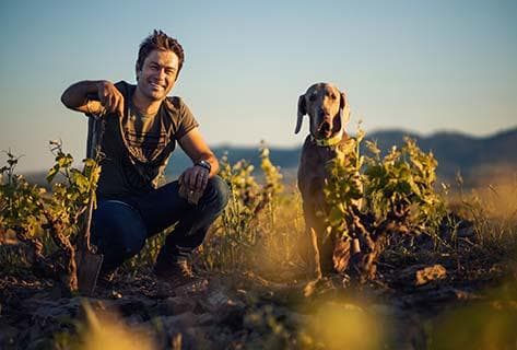 Foto des Partnerweinguts Damascene