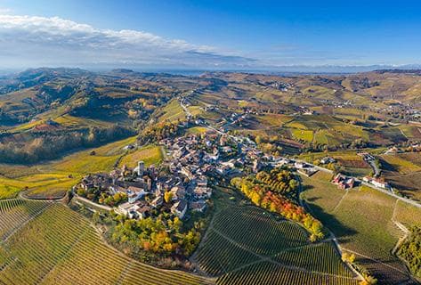 Foto della tenuta - Vietti
