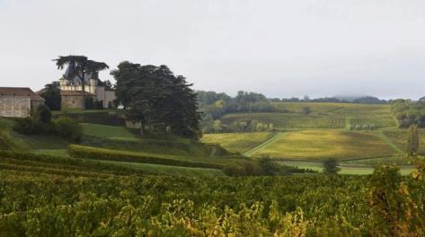 Foto della tenuta - Château de Pressac