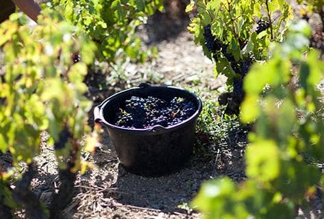 Jean Foillard - 2