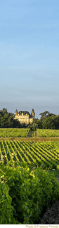 Château de Rayne Vigneau - 1