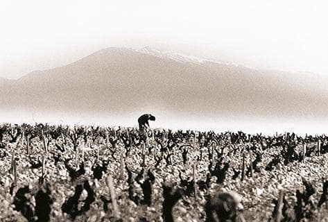 Vieux Télégraphe - 2