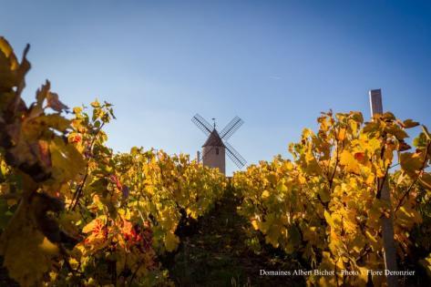 Domaine de Rochegrès - Albert Bichot - 2