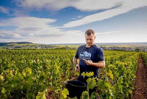 Foto della tenuta - Bernard Millot