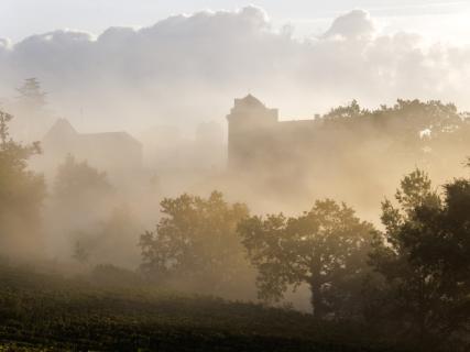 Château Laroque - 4