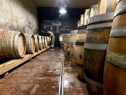 Domaine Camille Braun - 2