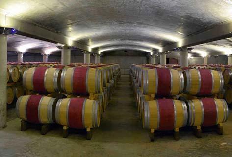 Château Carbonnieux - 4