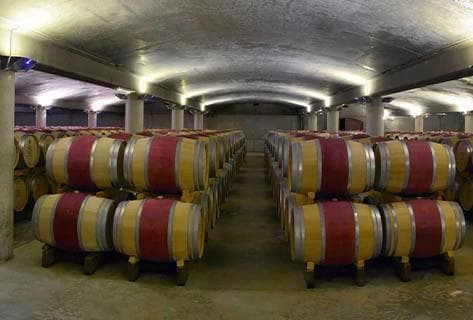 Château Carbonnieux - 4