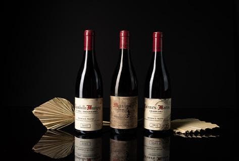 Georges Roumier - 2