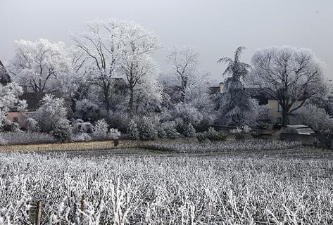 Domaine Kuheiji - 4