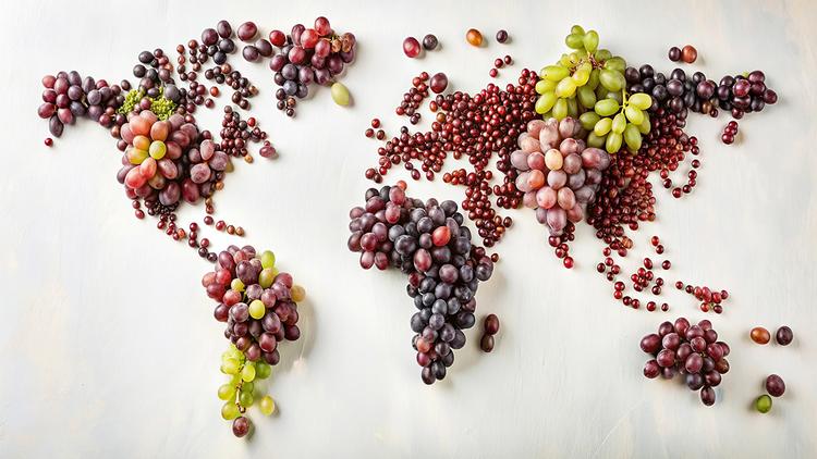 a world map made out of grows to illustrate whoe iDealwine ships around the world
