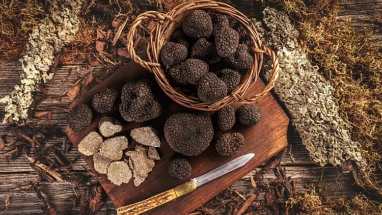 black truffle whole and chopped