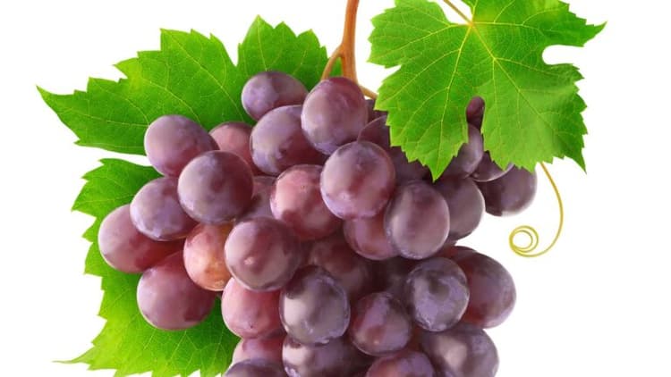 Bunch of Chardonnay Rose grapes