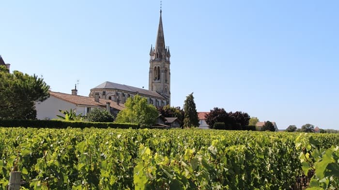 Saint Emilion church and vineyards