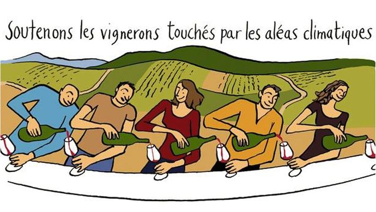 Vendanges solidaires anjou
