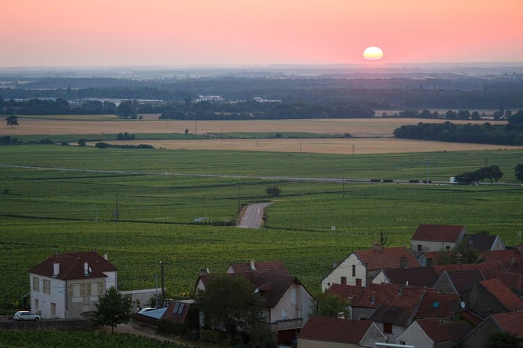 Morey vin nature bourgogne domaine appellation
