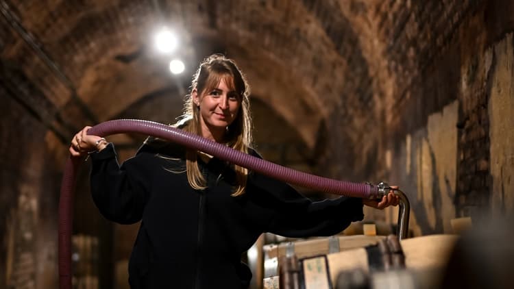 Hélène Charbaut Champagne STUDIO-GAILLOT - Copie