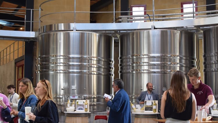 Dégistation primeurs 2025 à Pessac