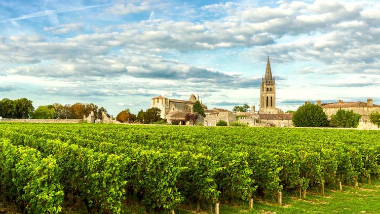 vin de garde bordeaux