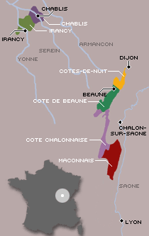 Wines from Burgundy
