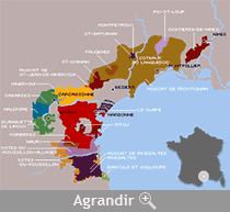 Vignobles du Languedoc et du Rousillon