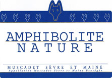 Muscadet-Sèvre-et-Maine  Amphibolite