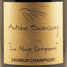Saumur-Champigny La Haye Dampierre Antoine Sanzay
