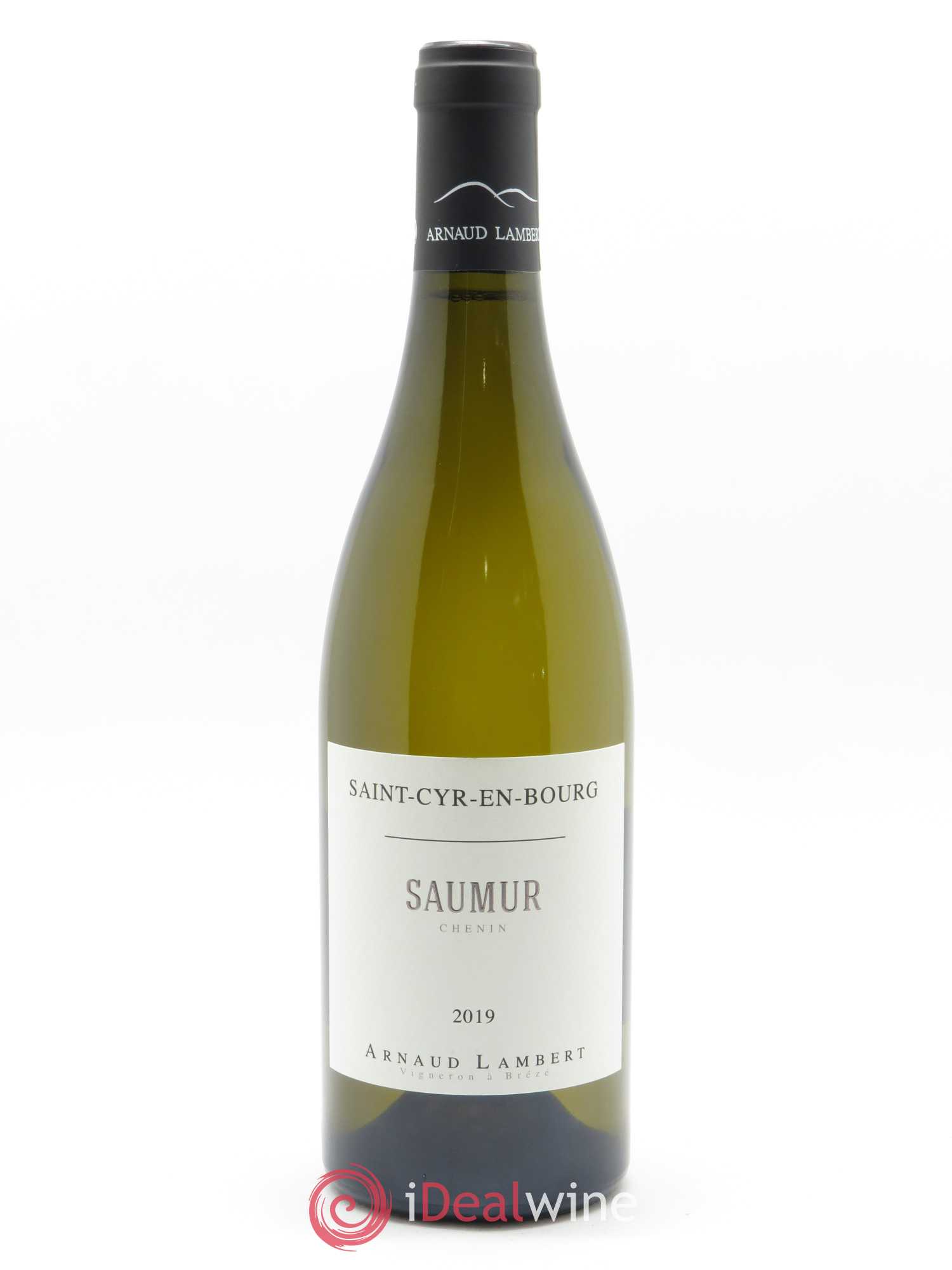 Buy Saumur SaintCyr en Bourg Arnaud Lambert 2019 (lot 32411)