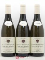 Puligny-Montrachet 1er Cru Les Folatières Bernard et Thierry Glantenay (Domaine)  2014