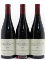 Saint-Joseph Jean-Louis Chave  2014