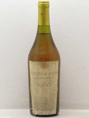 Côtes du Jura Domaine Rolet P&F  1986 - Lot of 1 Bottle
