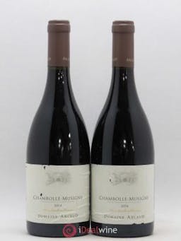 Chambolle-Musigny Arlaud  2014 - Lot de 2 Bouteilles