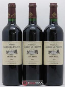 Château Cambon la Pelouse Cru Bourgeois  2005 - Lot of 3 Bottles